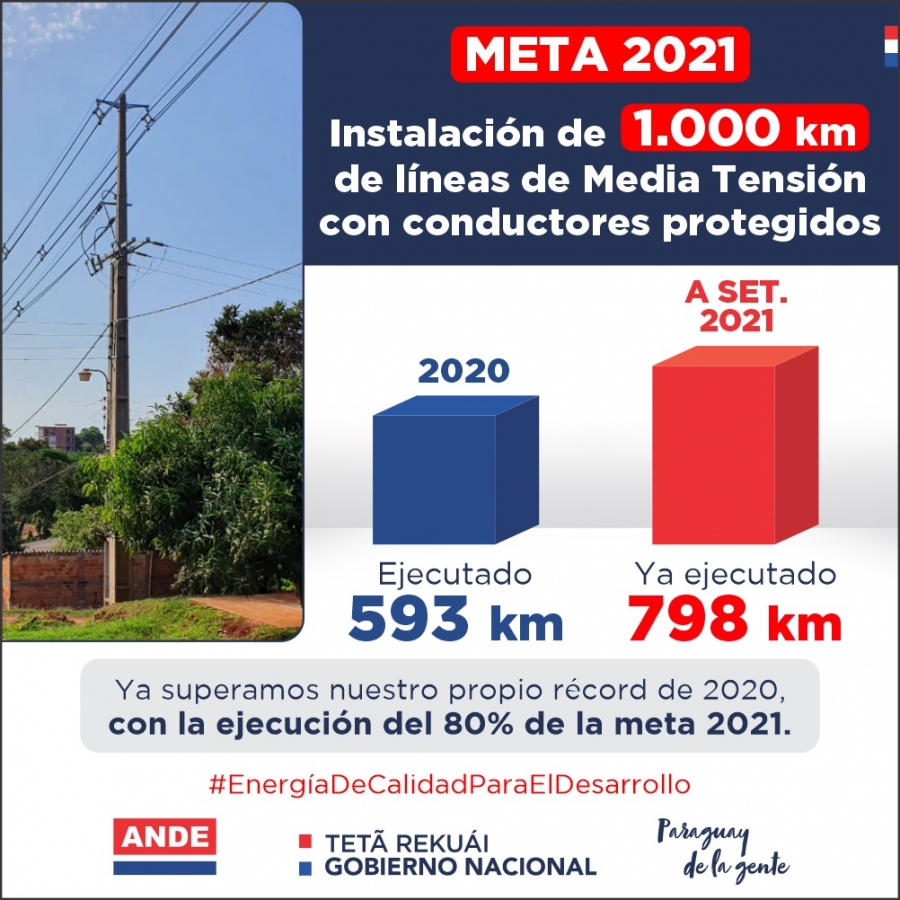 ANDE ya lleva instalado 798 km de líneas de Media Tensión con conductores  protegidos en todo el país - ANDE